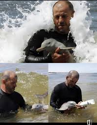 هَلْ - على شاطئ في أوروغواي، انجرف جسد صغير بالكاد يُرى ...