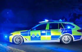 Woman, 82, seriously injured in car theft in Hove