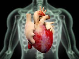 Image result for first heart transplantation