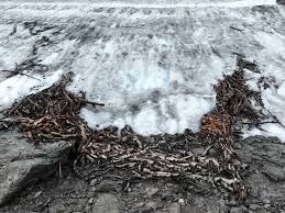 Archaeologists discover 1,500-year-old reindeer trap and other artifacts 'melting out of the ice' in Norway's mountains | Live Science