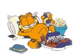 Résultat de recherche d'images pour "images garfield bonne nuit"