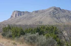 Image result for texas mountains
