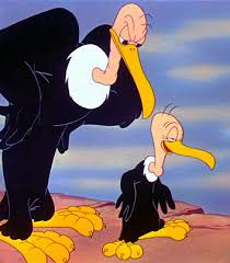 Image result for cecil turtle