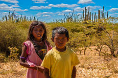 Image result for wayuu