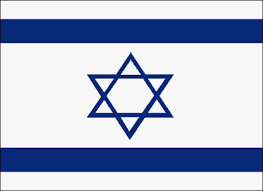 Image result for Millitary Intelligence Org
