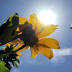 Could Tampa reach 100 degrees for the first time ever? Another ...
