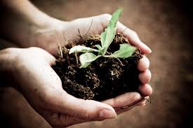 Image result for gardening planet earth