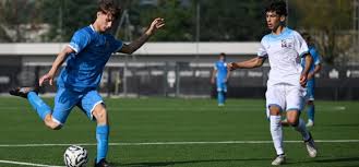 Trend Google: lega pro