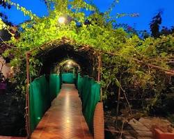 Nature's Sprout Bodhivann Jungle Camp