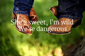 a country girl can survive | We Heart It | country music, love ... via Relatably.com