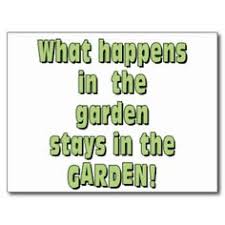 Garden Quotes on Pinterest | Funny Garden Quotes, Gardening Quotes ... via Relatably.com