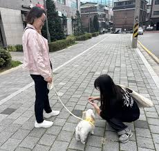 행동