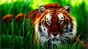Image result for wallpaper 3d