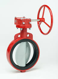 Bray Series 30/31 Resilient Seated Butterfly Valve - Valves ...