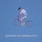 Image result for Bicycle Kite