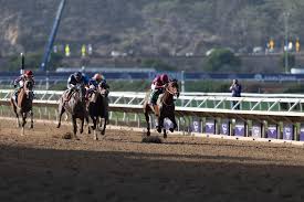 2026 Dubai World Cup: Forever Young and Key Contenders