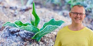 Eisheilige 2026: Wie frostig sind die Aussichten?