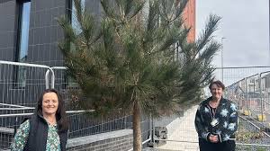 Blackpool Tackles Flooding with £2m Sustainable Tree Planting Project