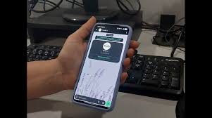 INSS envia alertas por WhatsApp para evitar faltas no BPC