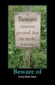 Moles on Pinterest | Funny quotes, Jokes and Puns via Relatably.com