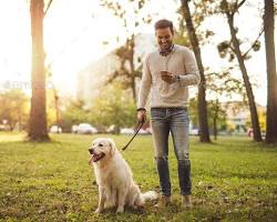 person walking with a dog in a park