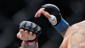 UFC 330: Chidi Njokuani vs. Joel Alvarez Predictions & Odds