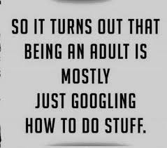 Image result for adulting