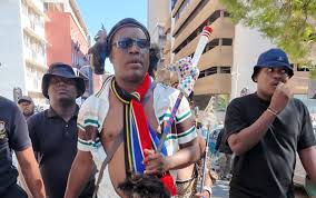 Eff Malema Defamation Claim Mchunu : ce qu'il faut savoir — image 1