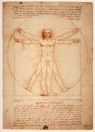 Image result for Golden ratio human