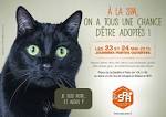 Adoption : chien et chat a adopter, annonces SPA pour adopter un