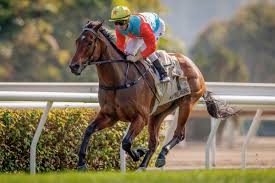 Australian Turf Club - News update