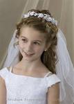 First Communion Veils - Sears