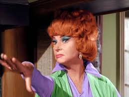 Image result for Endora, Bewitched
