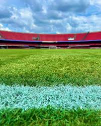 Vitória Cup 2026 como laboratório de Apostas: O que os jogos revelam do brasileirão