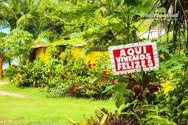 Resultado de imagem para imagens pessoas no jardim