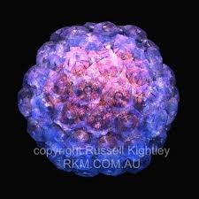 Image result for human papilloma virus