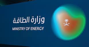 صحيفة المواطن - News update
