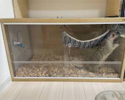 ミーアキャット用ケージの画像
