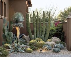 Cactus Landscaping: Pioneers of Unique Landscape Designs in the UAE