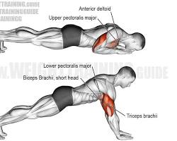 Image of Tricep extensions exercise