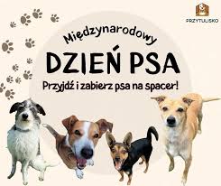 Wizjalokalna.pl - News update