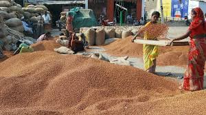 India’s tur imports rise 44% in Jan-Aug as prices ease