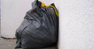 Image result for bag of trash started moving