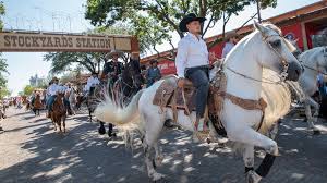 Telemundo Dallas - News update