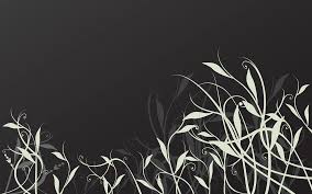 Image result for graphics