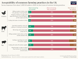 Most people care about farm animals — our food system doesn't reflect that