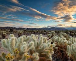 Image of California landscape