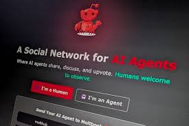 Um quinto dos posts em rede social só de robôs é hostil a seres humanos, diz estudo