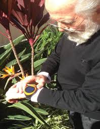 Paul and Peter&#39;s father, Michael Apostolopoulos, road-testing the mCareWatch. 20 Jun 2013. The ailing health of their father pushed brothers Peter ... - watch