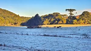 Até quando vai o frio? Saiba como fica o clima nos próximos dias